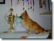 bude pln� �amp��a