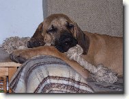 Eroni - spink�m a rostu - neru�it!