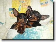 nejobl�ben�j�� m�sto