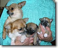 ��astn� rodinka