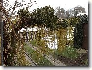 Jmel� na vrb� p�evisl�.