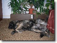 Pokojov� pohodi�ka