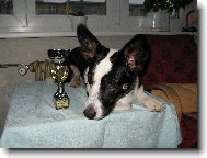 Addanc Lucky Veles Vel�korgi cardigan