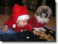 �t�dr� ve�er