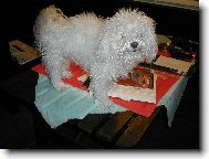 M�j prvn� bolo���ek