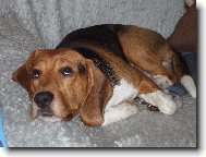 nejsem k se�r�n�