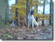 V Jilemnick�m parku