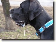 Arthur - Barneby od �ternbersk�ho hradu