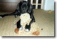 Arthur - Barneby od �ternbersk�ho hradu