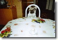 �ek�n� na ob�d