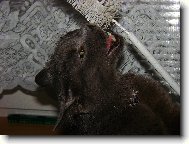 Mac��ek a �t�tka na um�v�n�