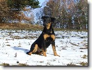 Reno z Holubick� str�n�