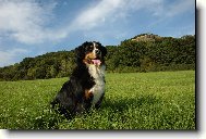 Airinka Zahrada Z�bo��