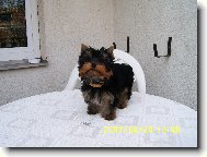 TOBBY j�t� miminko