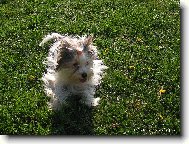 Nejsem vo�ech, jsem jen rozcuchanej