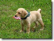 Andy(End�sek) 6ti t�denn�