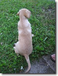 Andy(End�sek) 10ti t�denn�