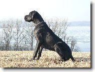 K�rass z Josefovsk�ch bud