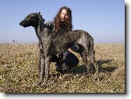 K�liha Bohemia Genao