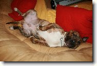 Hlavn� nic ned�lat