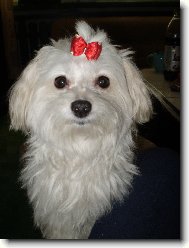 Bety je na�an�an�