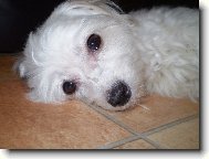 T���k jsem unaven�