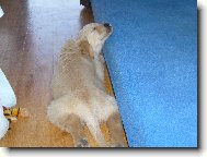 pohodl� nade v�e