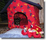 Na�e 7t�denn� Fifnka