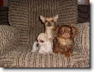 Magali, Nat�lka a Terezka