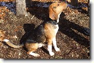 �EK�M NA P�RE�EK