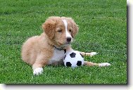 Nen� rozko�n�? :o*