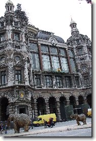 Slony v Antwerp�ch