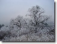 Slovensko-Zimn� rozpr�vka