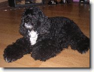 Moje Zlat��ko Ketty