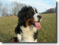 m�j ber���ek