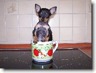 Kr�ska - t�k� pohoda