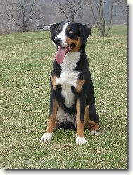 Abora z Velk�ho �jezda