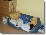 Pohodi�ka v pel�ku