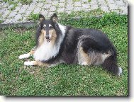 Anita Black Modr� Iris