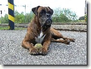 Blondy v Popel�n�