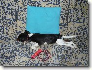 Nechte m� sp�t.....