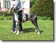 Ralf Hv�zdn� luh