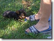 babi�iny nohy jsou nejlep��