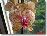 Jedna z m� sb�rky