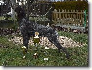 AMIRA Z �IMELICK�CH STR�N�