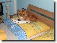 to si to kr�sn� hajink�m...