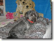 Na�e roztomil� S�rinka