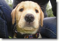 Britu�ka jako miminko :)