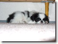 Co se ti tak asi zd� ??