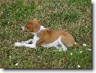 na�e �t�n�tko:)